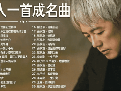 1737首无损音乐大合集，一人一首成名曲，你想要的这里都有，wav无损格式